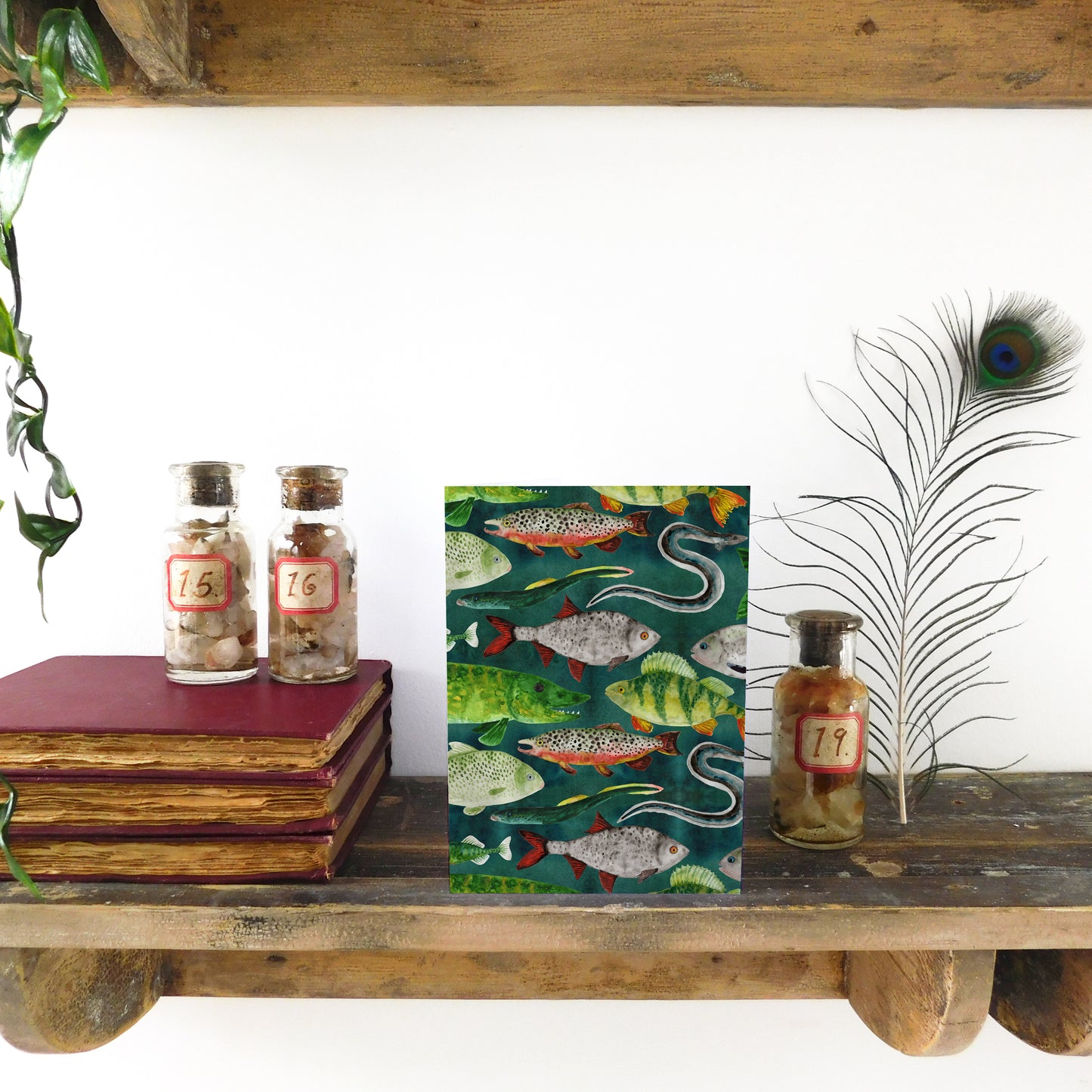 Flumens Freshwater Fish Greetings Card