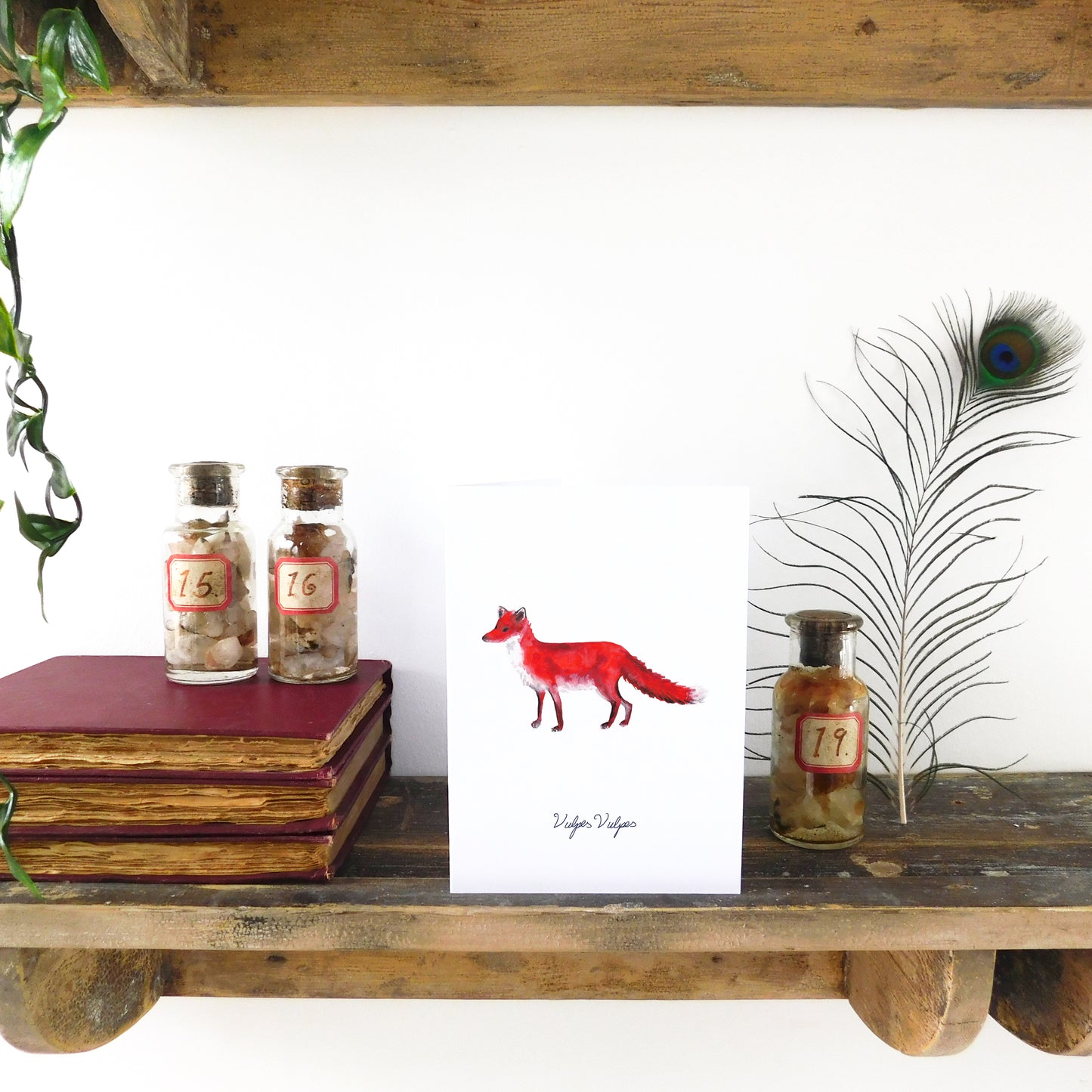 Sylvan Red Fox Greetings Card