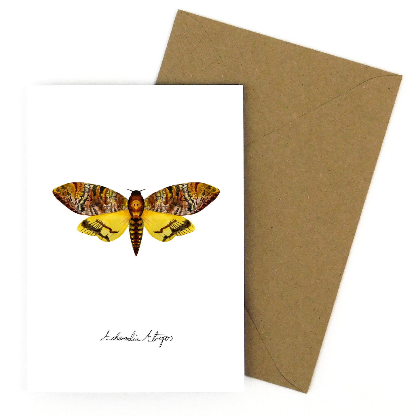 Lepidoptera Death's Head Hawkmoth Moth Greetings Card