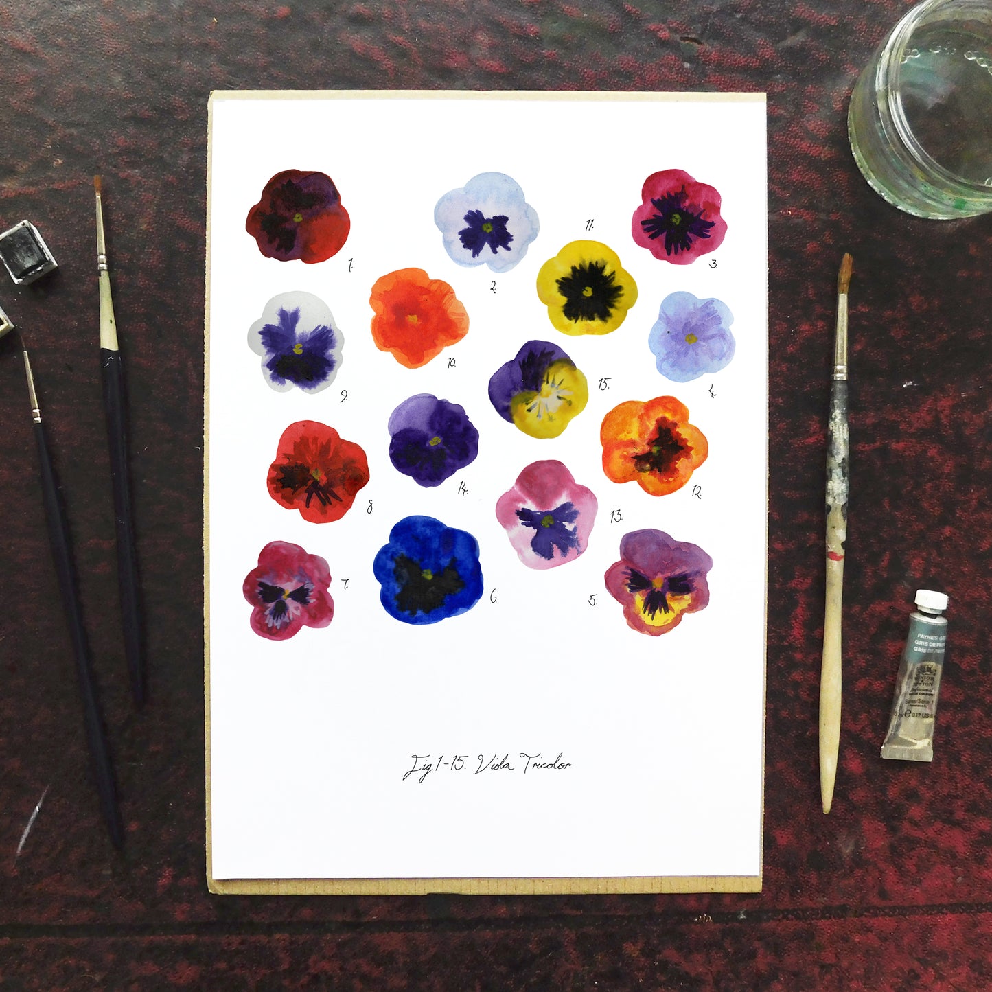 Viola Pansy Art Print
