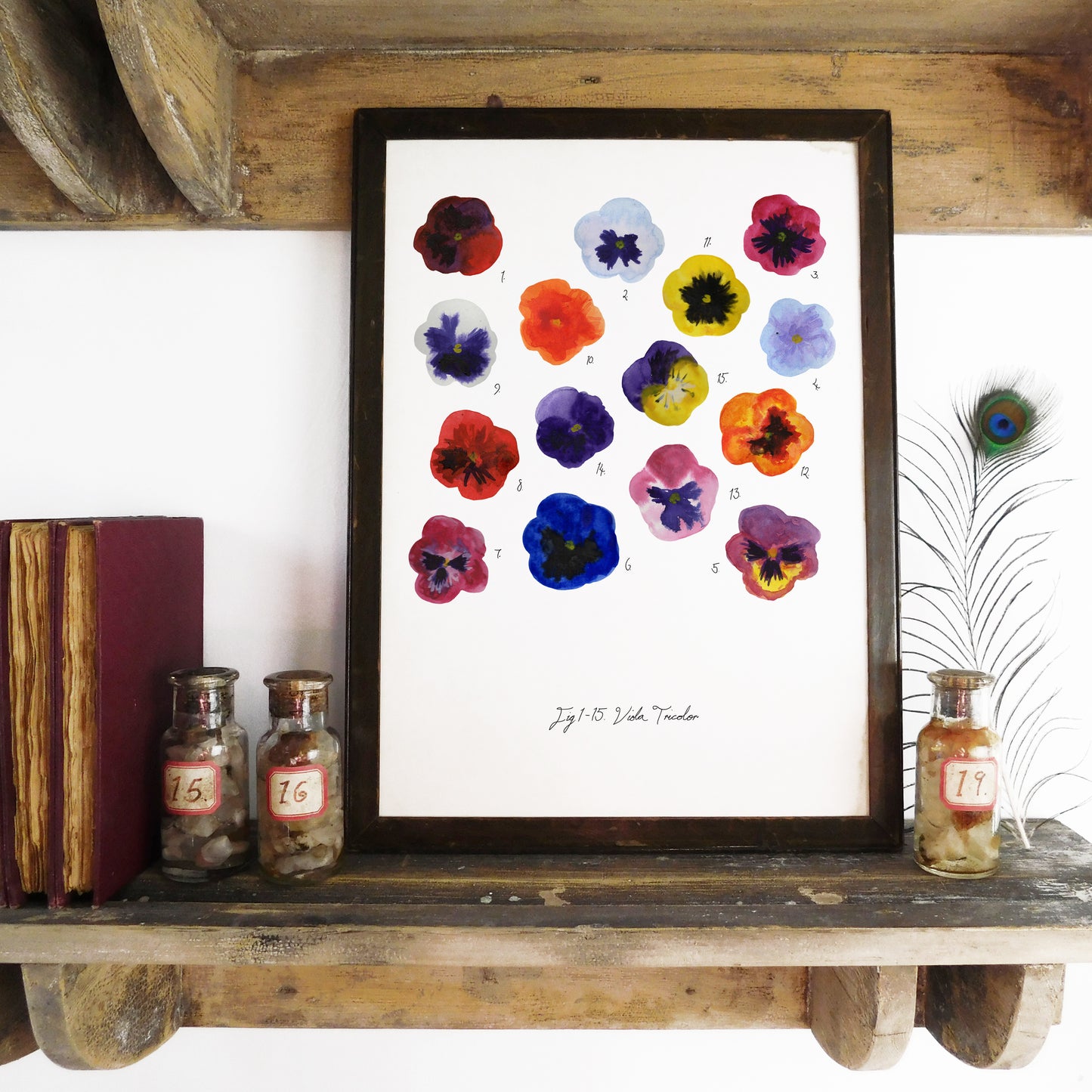 Viola Pansy Art Print