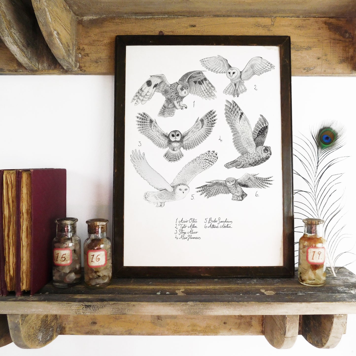 Parliament of Owls Art Print