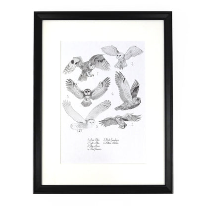 Parliament of Owls Art Print