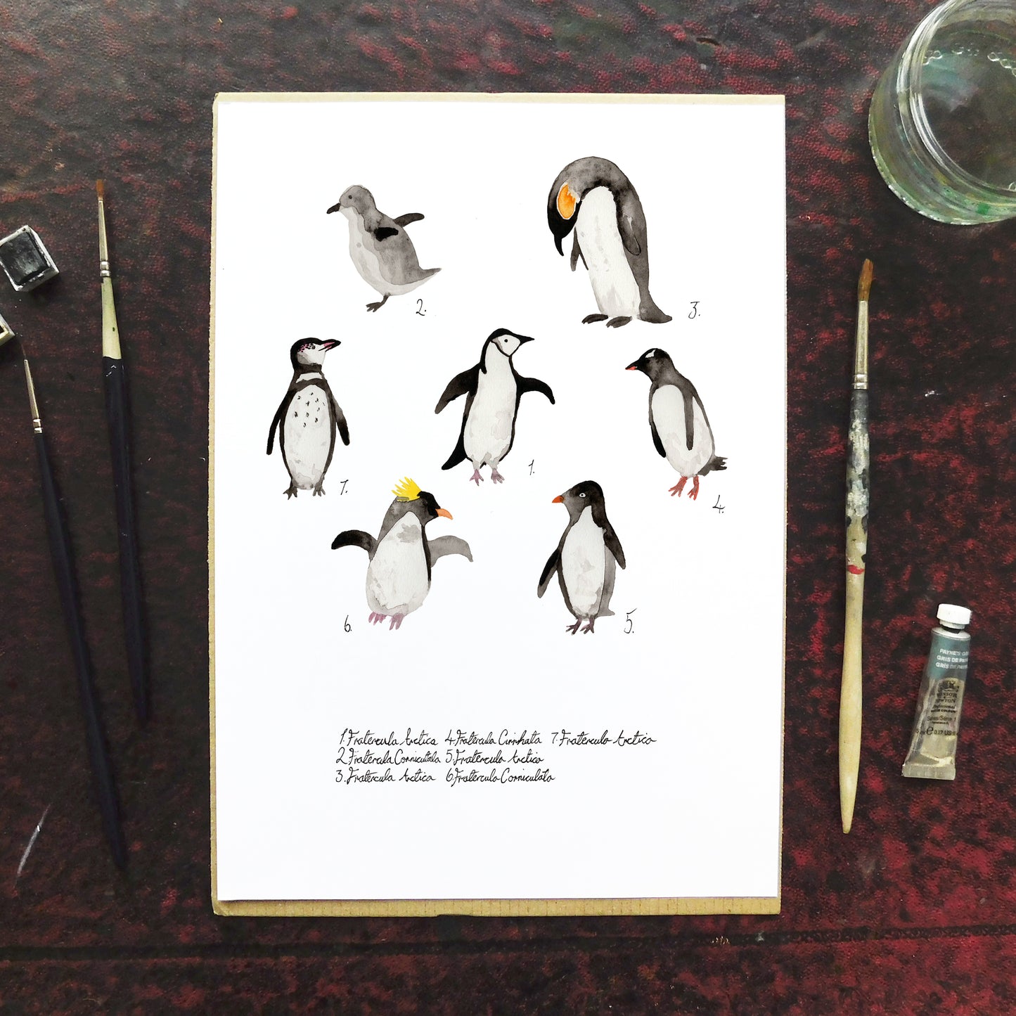 Ornithology Set of 3 Art Prints