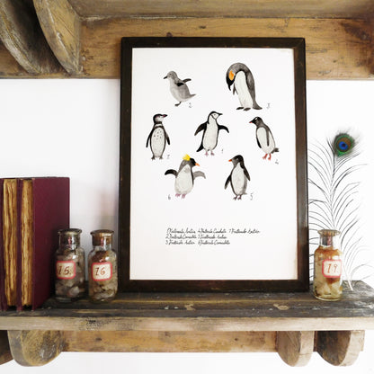 Waddle of Penguins Art Print