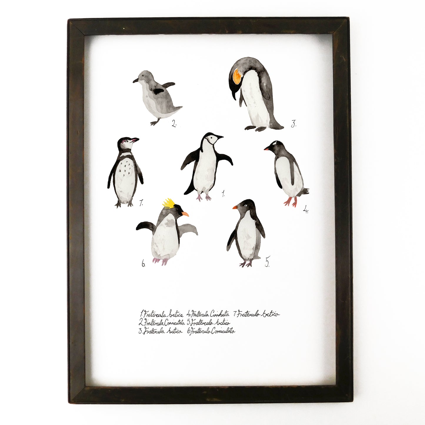 Waddle of Penguins Art Print
