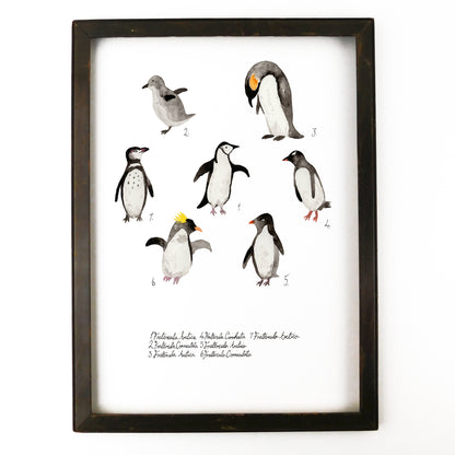 Waddle of Penguins Art Print