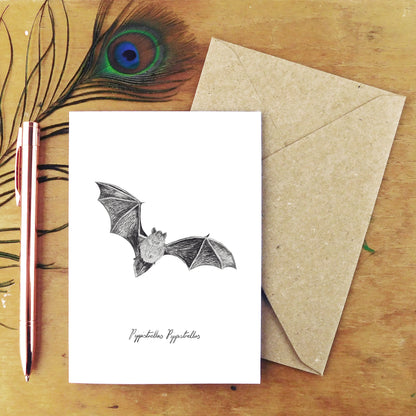 Chiroptera Pipistrelle Greetings Card