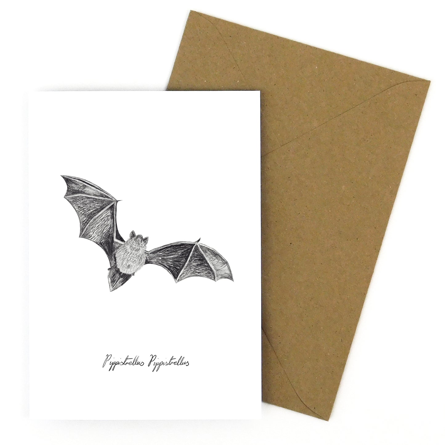 Chiroptera Pipistrelle Greetings Card