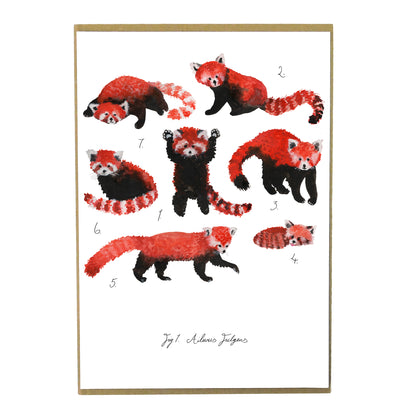 Pack of Red Pandas Art Print
