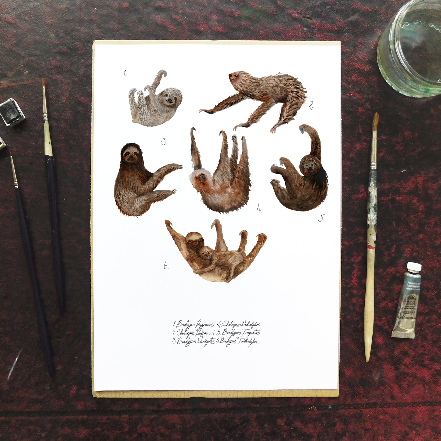 Arboreal Mammals Set of 3 Art Prints