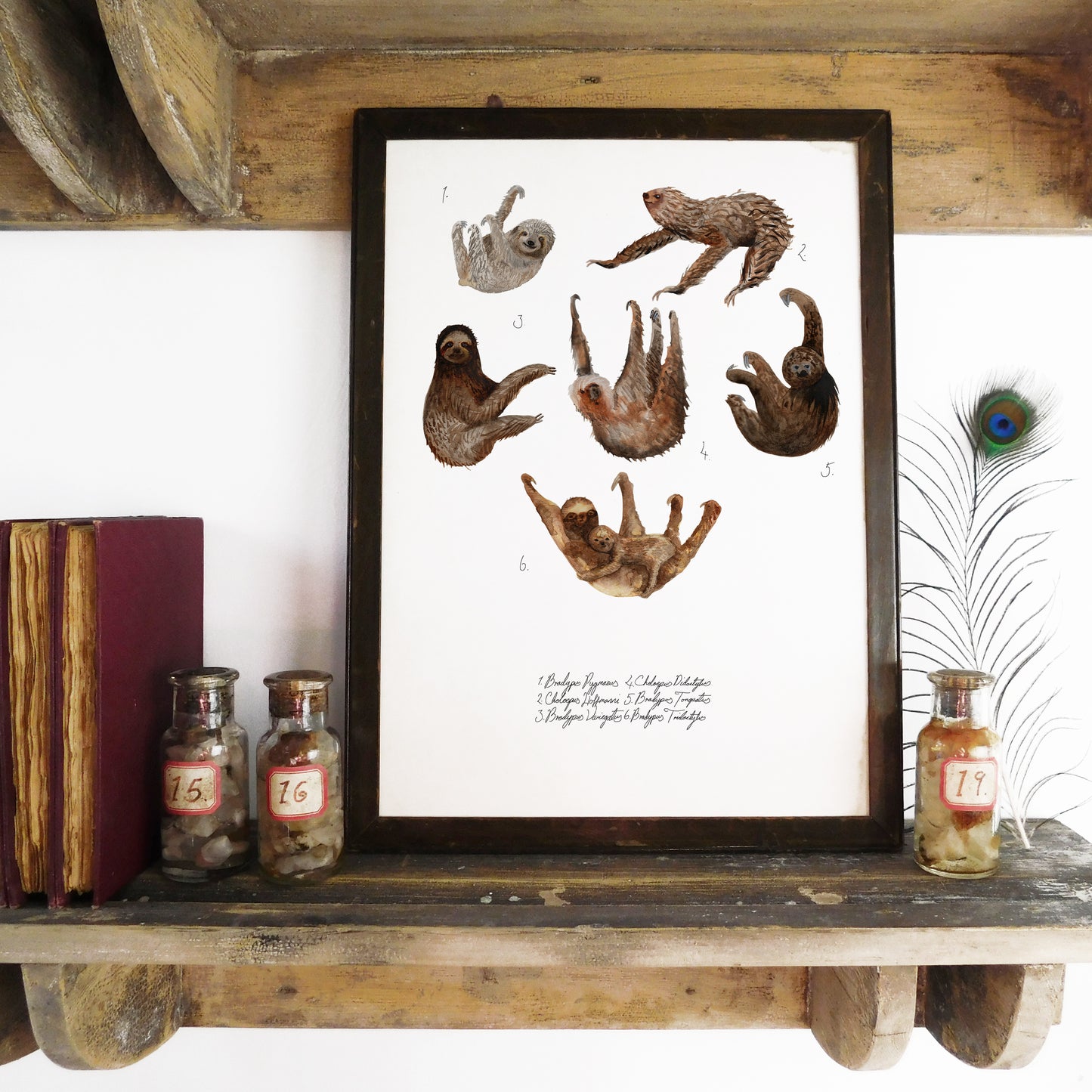 Sleuth of Sloths Art Print