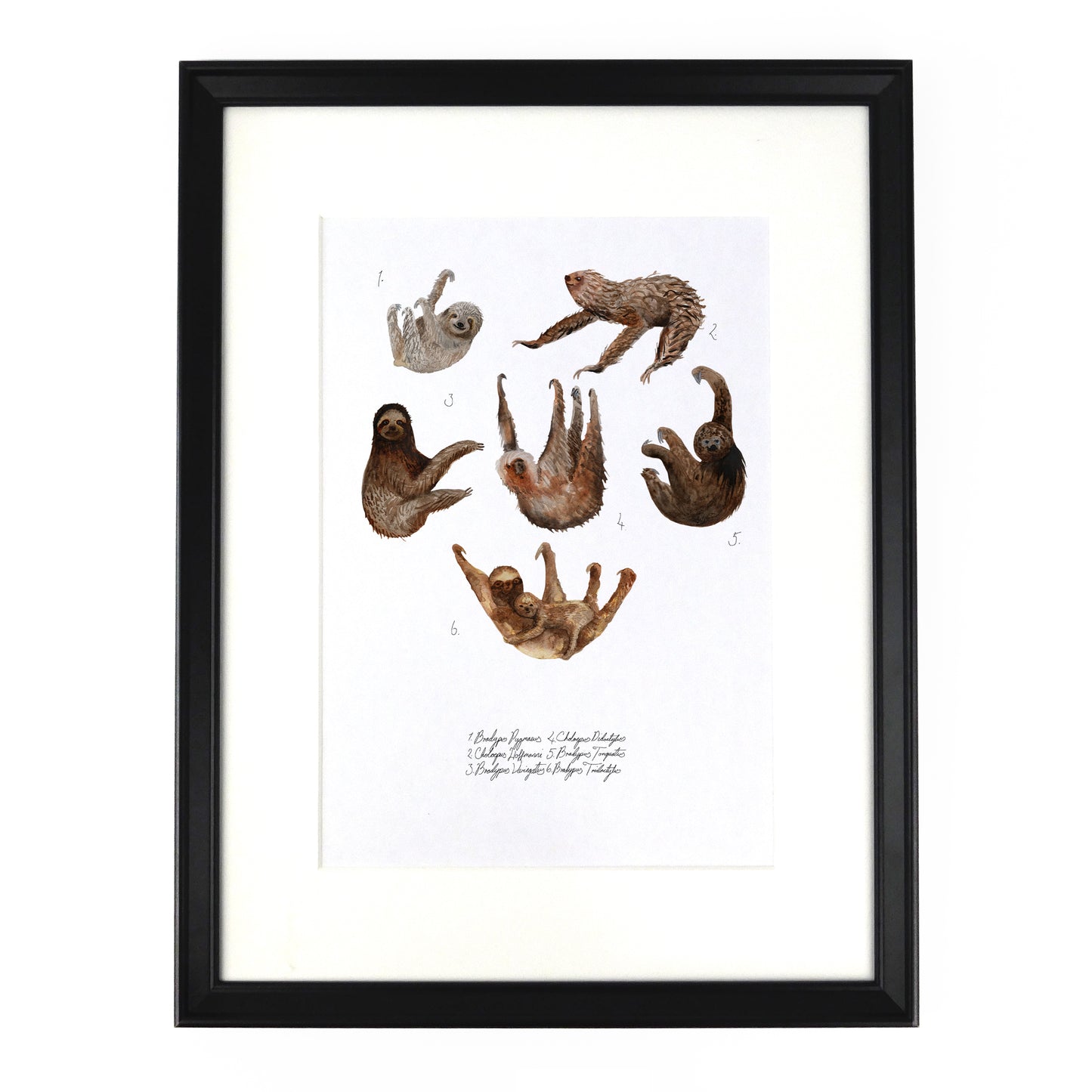 Sleuth of Sloths Art Print