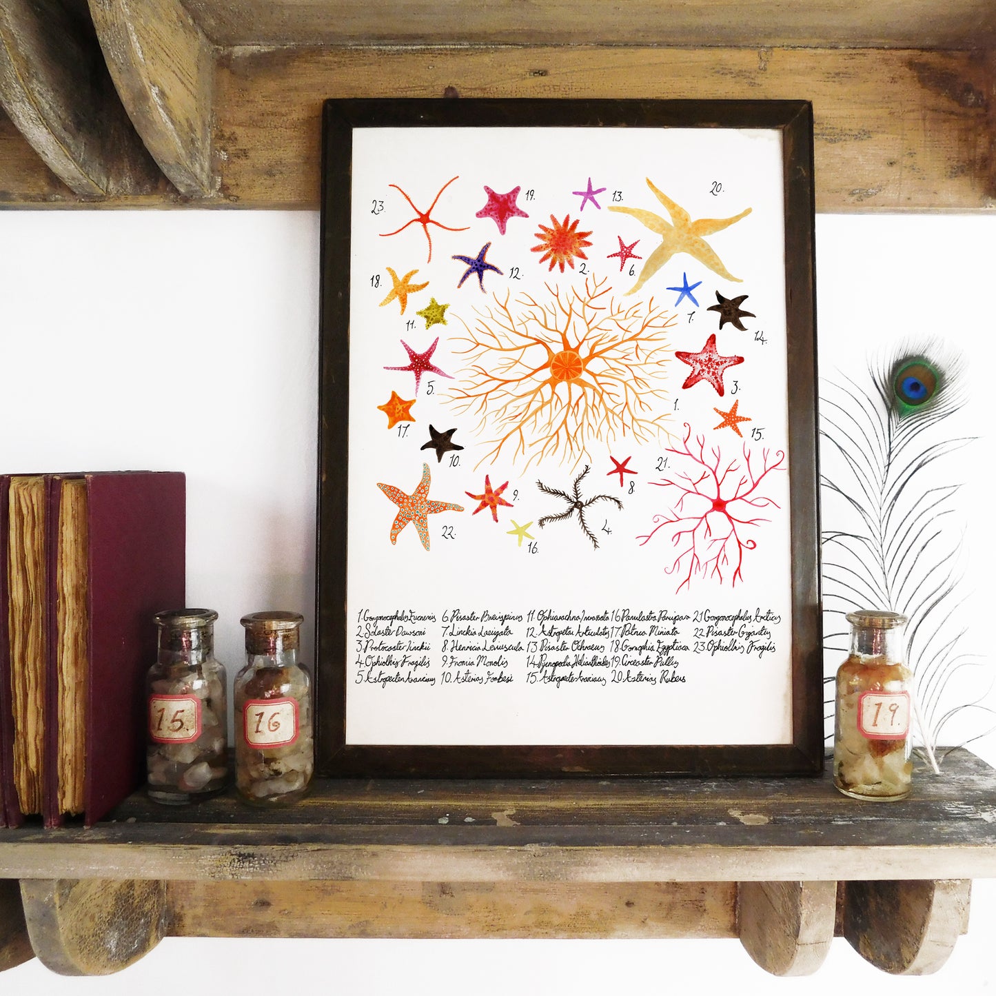 Seashore Set of 3 Art Prints