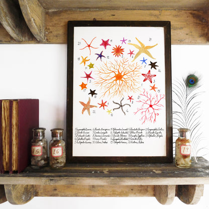 Seashore Set of 3 Art Prints