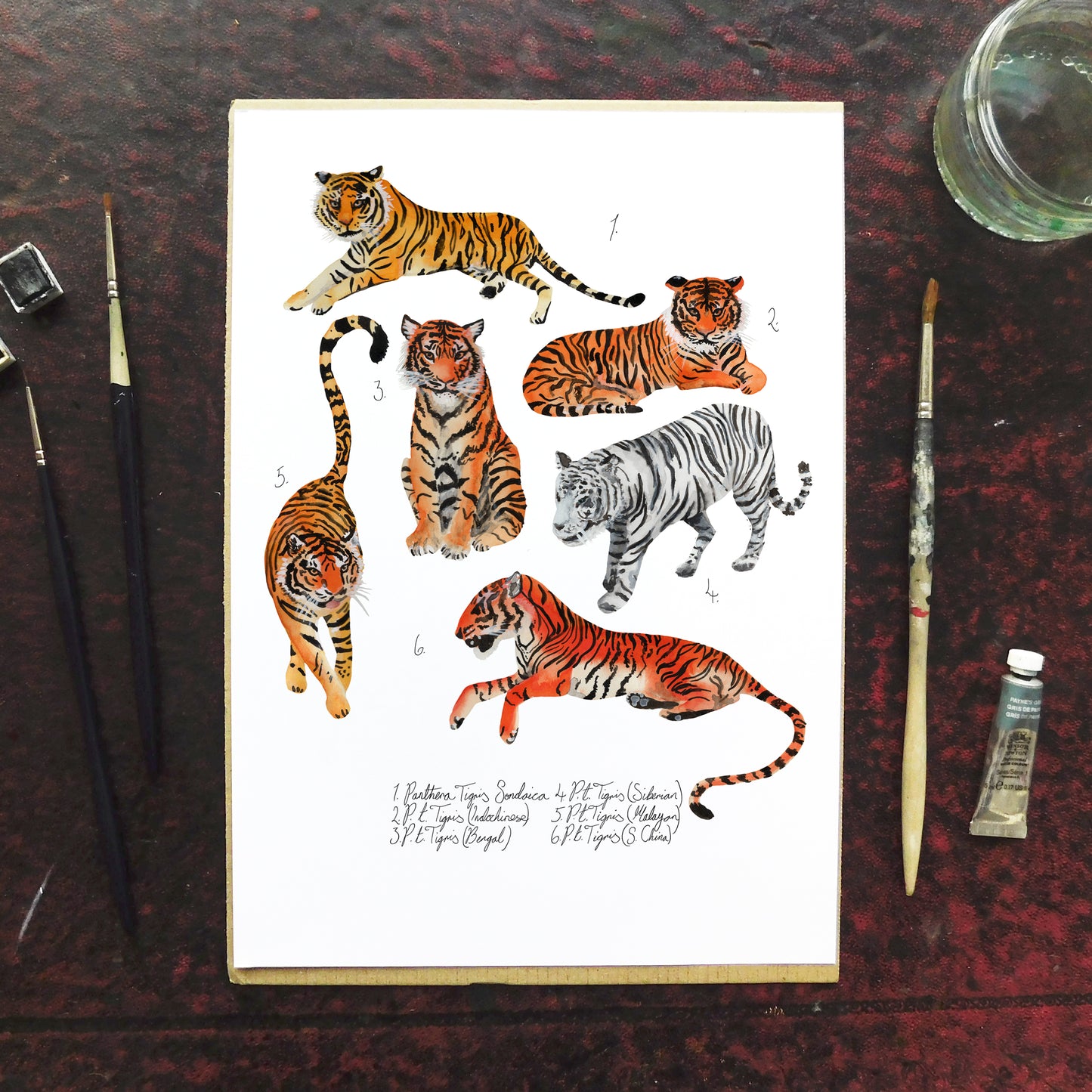 Streak of Tigers Art Print