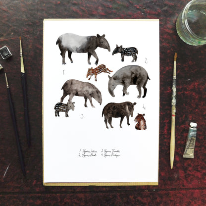 Candle of Tapirs Art Print