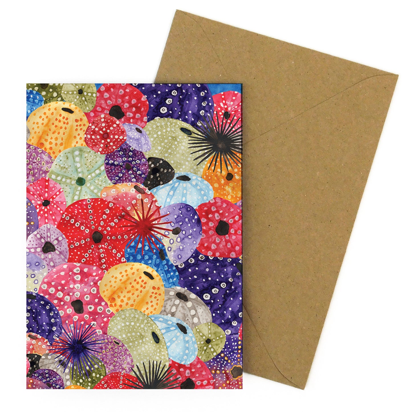 Echinozoa Urchin Greetings Card