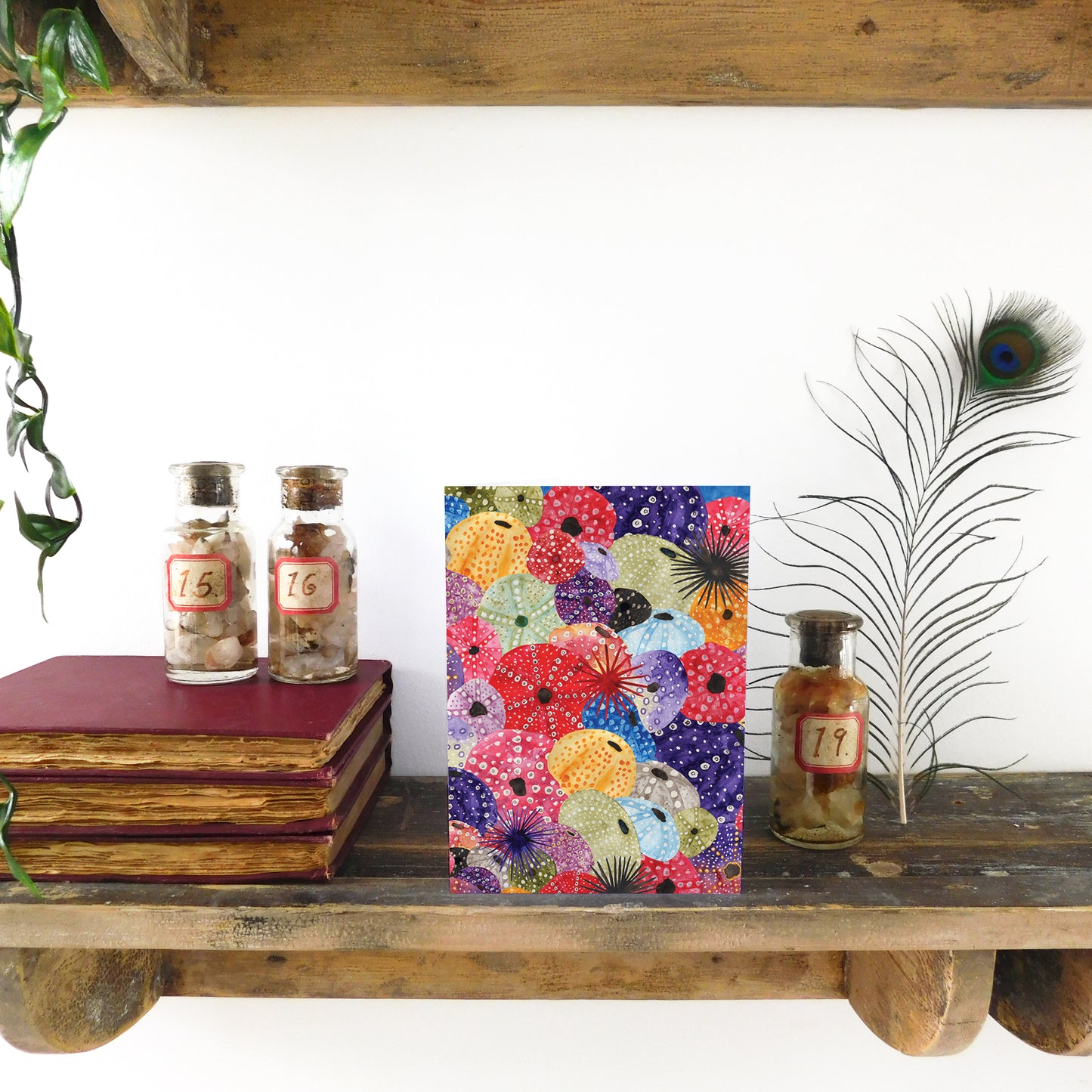 Echinozoa Urchin Greetings Card