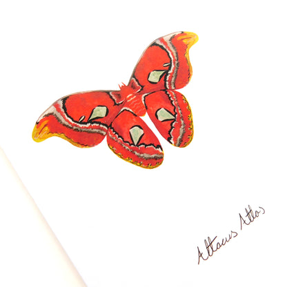 Lepidoptera Atlas Moth Greetings Card