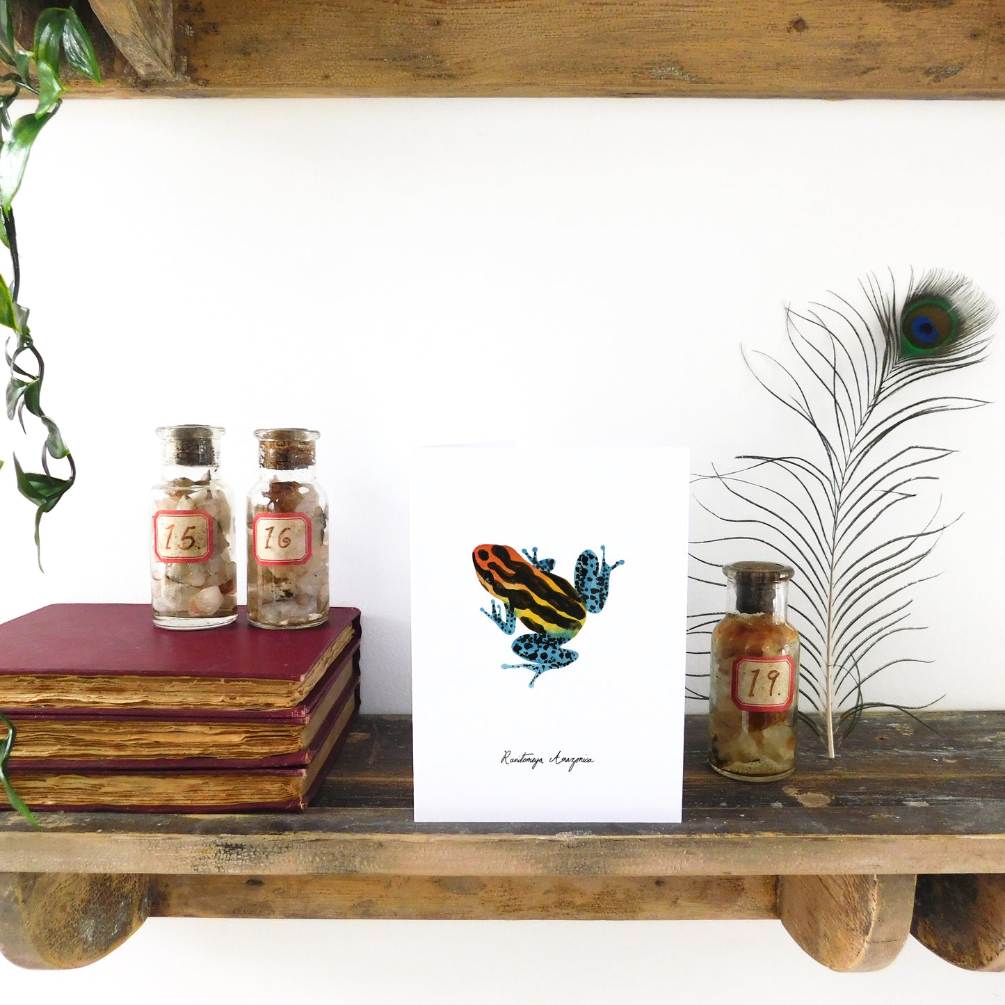 Dendrobatidae Poison Dart Frog Greetings Card