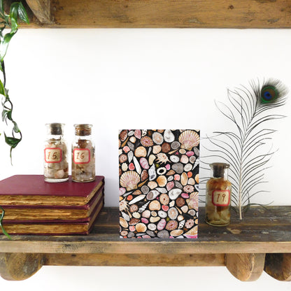 Mollusca Sea Shell Greetings Card
