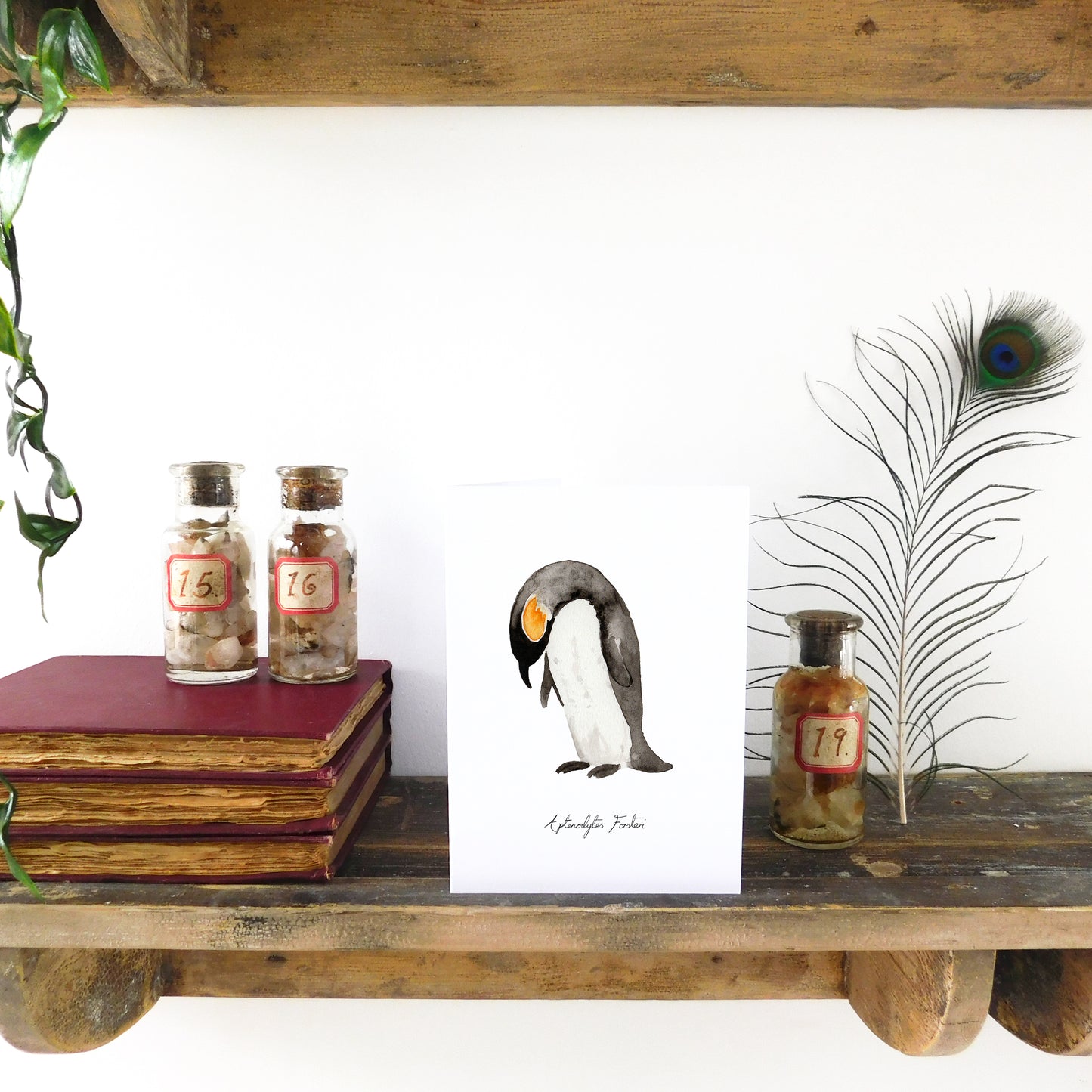 Waddle Emperor Penguin Greetings Card