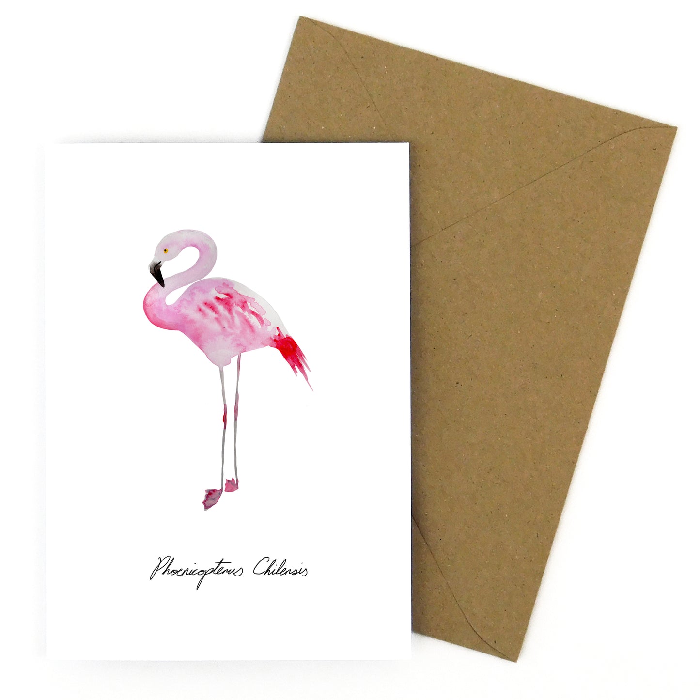 Flamboyance Chilean Flamingo Greetings Card