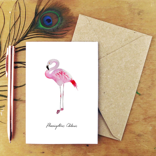 Flamboyance Chilean Flamingo Greetings Card
