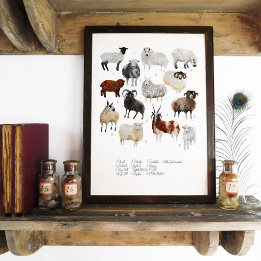 Flock of Sheep Art Print