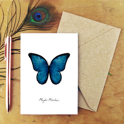 Insect Specimens Greetings Card Pack