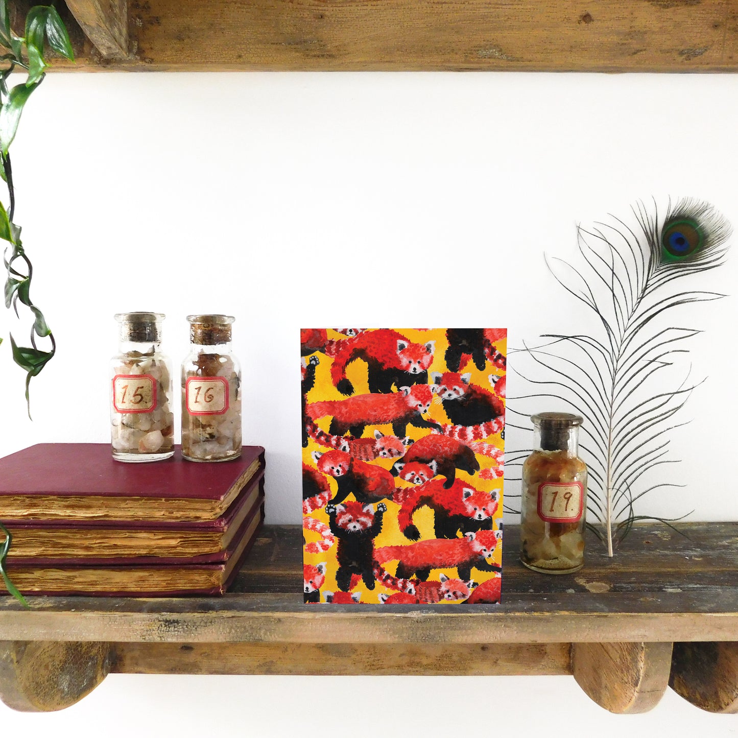 Pack of Red Pandas Print Greetings Card