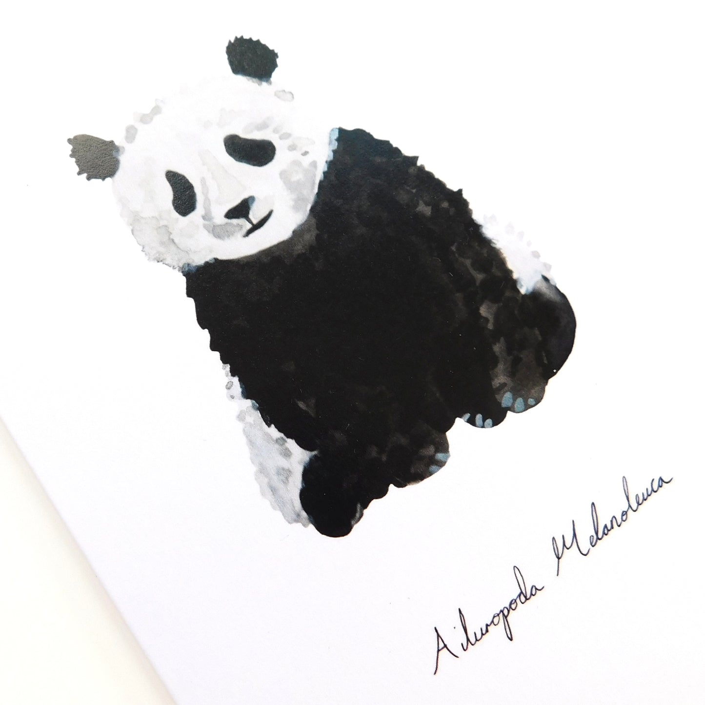 Embarrassment Giant Panda Greetings Card