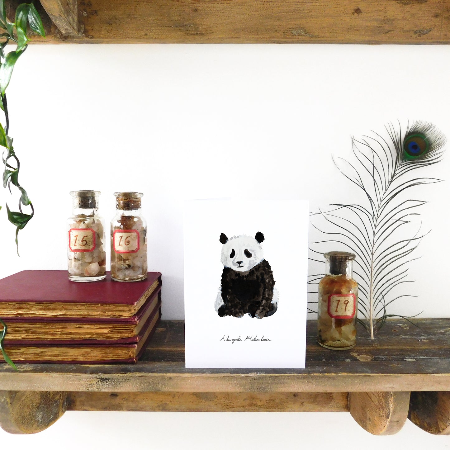 Embarrassment Giant Panda Greetings Card