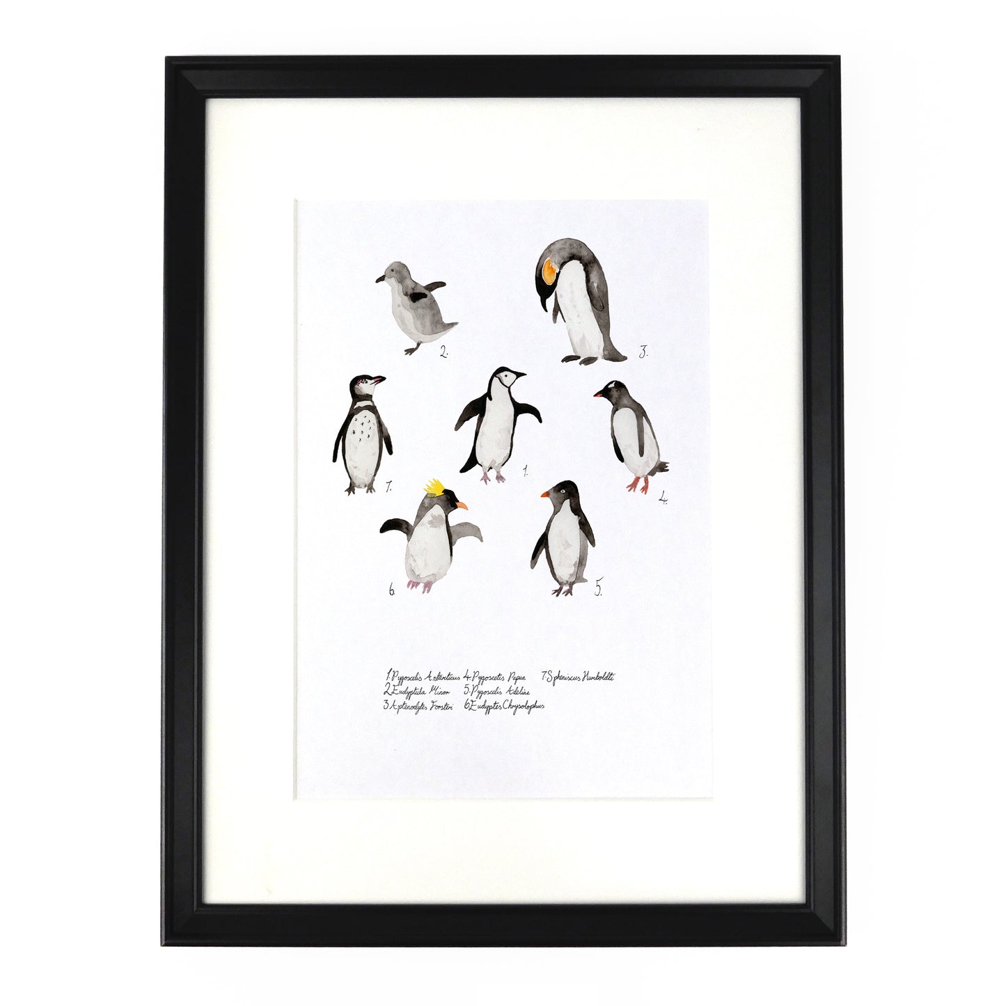 Waddle of Penguins Art Print