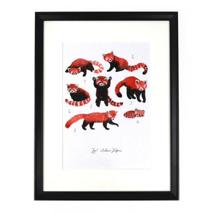 Pack of Red Pandas Art Print
