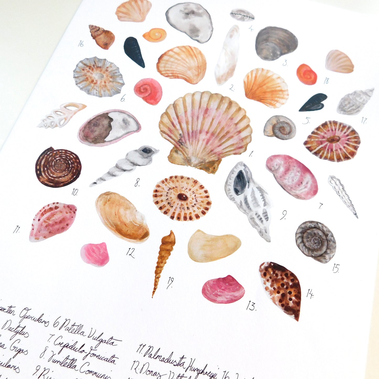Seashore Set of 3 Art Prints