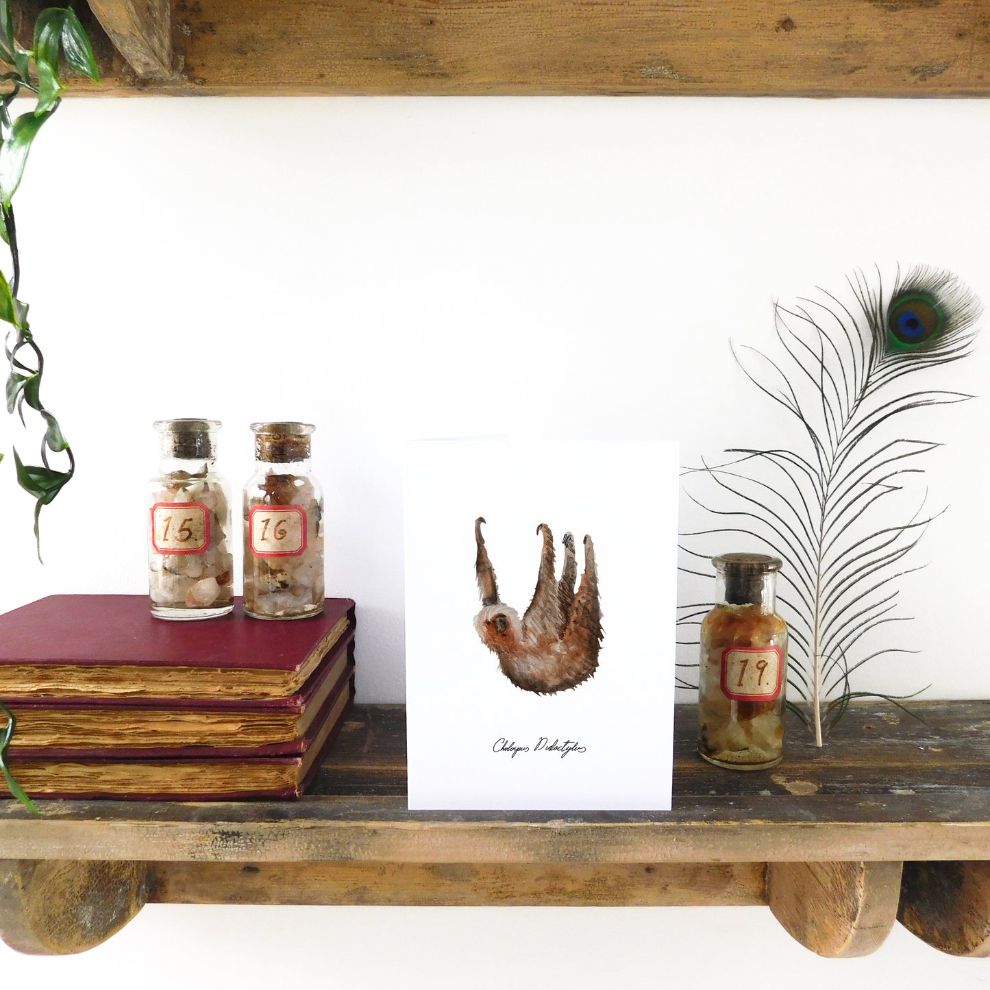 Sleuth Two-Toed Sloth Greetings Card