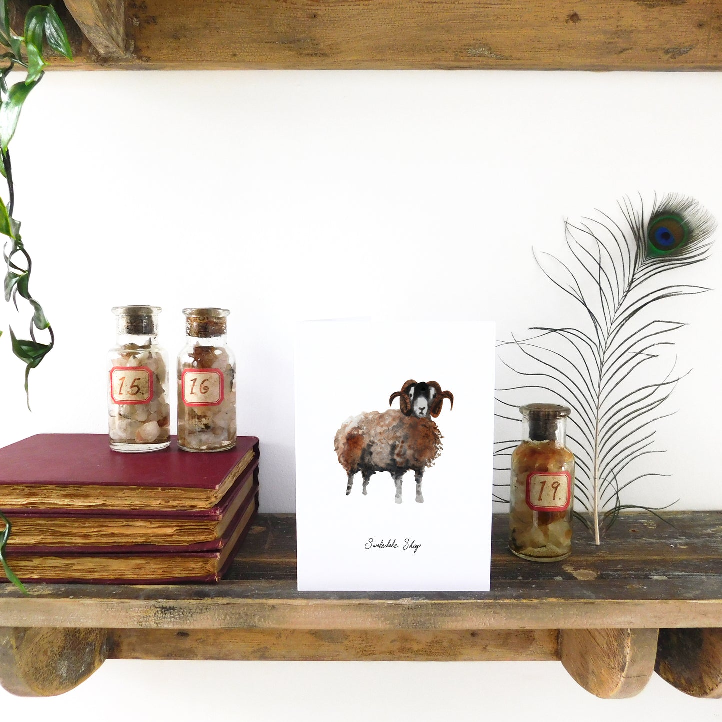 Flock Swaledale Sheep Greetings Card