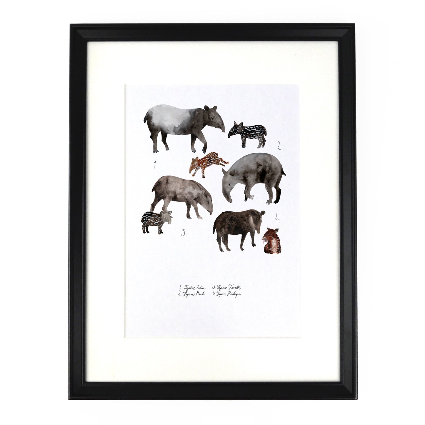 Candle of Tapirs Art Print