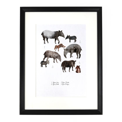 Candle of Tapirs Art Print